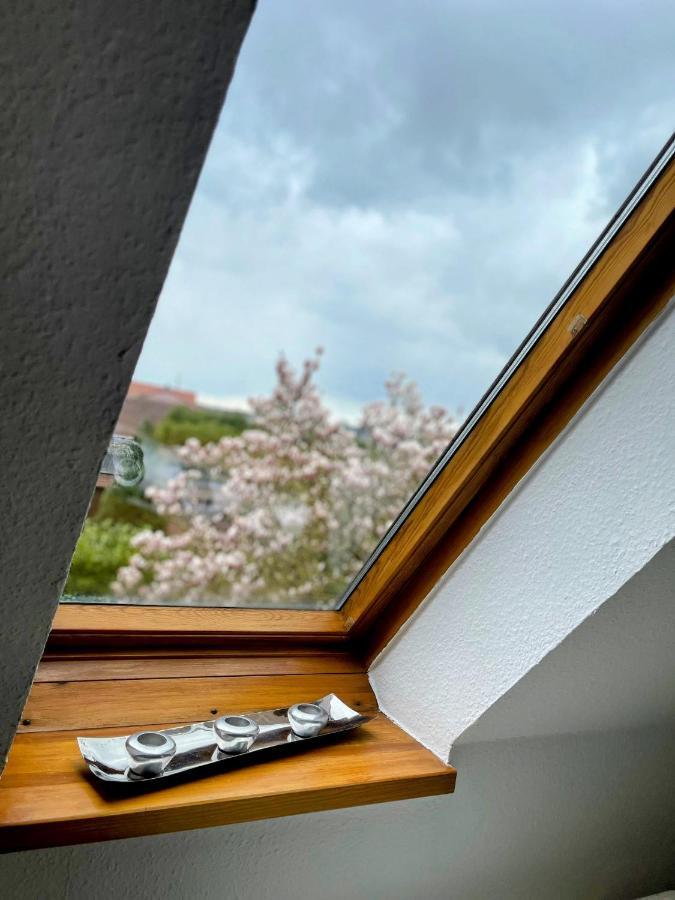 *To Hus* Wohnung Am Rande Von 积发 外观 照片